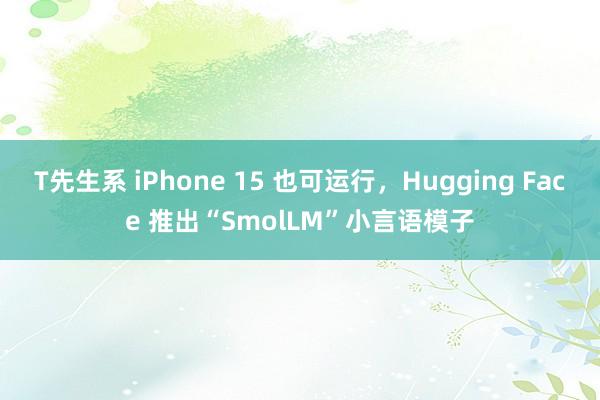 T先生系 iPhone 15 也可运行，Hugging Face 推出“SmolLM”小言语模子