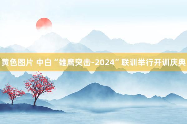 黄色图片 中白“雄鹰突击-2024”联训举行开训庆典