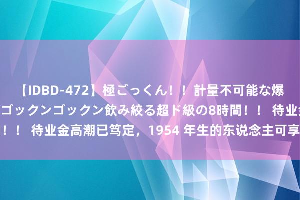 【IDBD-472】極ごっくん！！計量不可能な爆量ザーメンをS級女優がゴックンゴックン飲み絞る超ド級の8時間！！ 待业金高潮已笃定，1954 年生的东说念主可享乐龄歪斜吗？