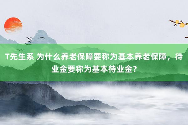 T先生系 为什么养老保障要称为基本养老保障，待业金要称为基本待业金？