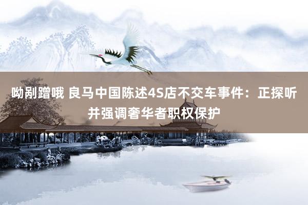 呦剐蹭哦 良马中国陈述4S店不交车事件：正探听并强调奢华者职权保护