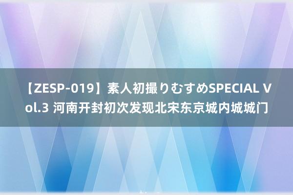 【ZESP-019】素人初撮りむすめSPECIAL Vol.3 河南开封初次发现北宋东京城内城城门