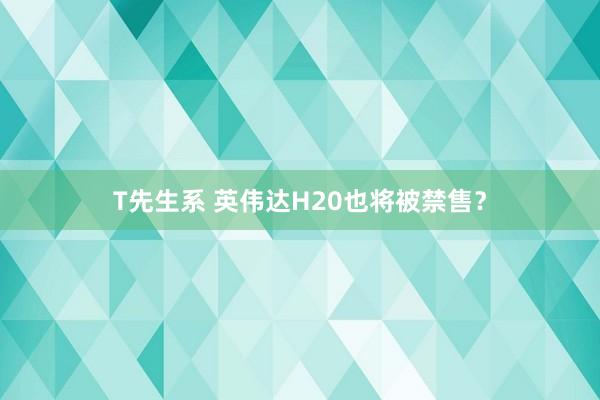 T先生系 英伟达H20也将被禁售？