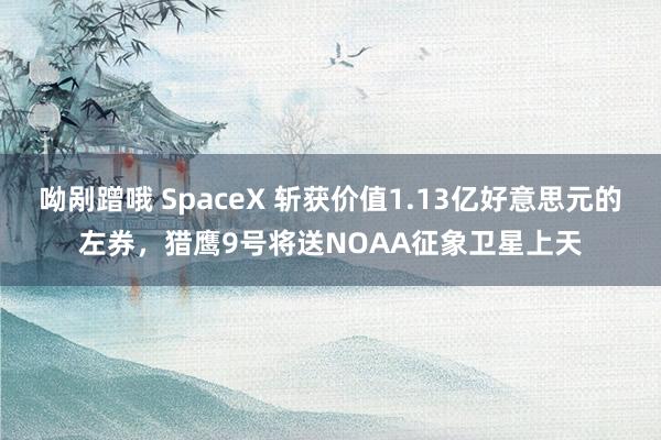 呦剐蹭哦 SpaceX 斩获价值1.13亿好意思元的左券，猎鹰9号将送NOAA征象卫星上天