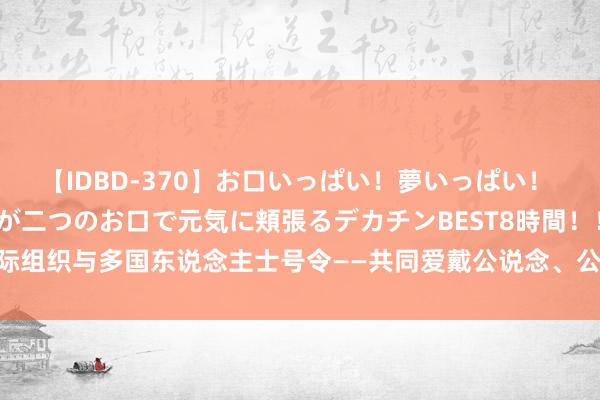 【IDBD-370】お口いっぱい！夢いっぱい！ MEGAマラ S級美女達が二つのお口で元気に頬張るデカチンBEST8時間！！ 国际组织与多国东说念主士号令——共同爱戴公说念、公道的国际贸易模范（环球热门）