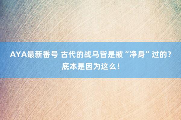 AYA最新番号 古代的战马皆是被“净身”过的？底本是因为这么！