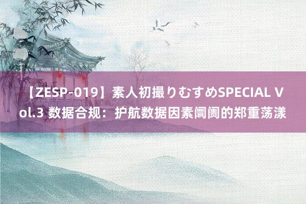 【ZESP-019】素人初撮りむすめSPECIAL Vol.3 数据合规：护航数据因素阛阓的郑重荡漾