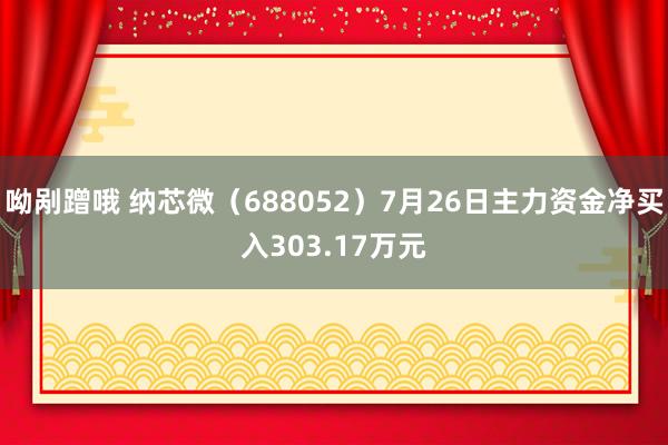 呦剐蹭哦 纳芯微（688052）7月26日主力资金净买入303.17万元