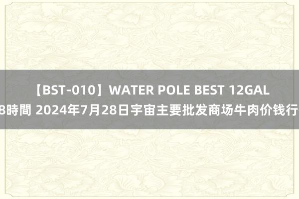 【BST-010】WATER POLE BEST 12GALs 8時間 2024年7月28日宇宙主要批发商场牛肉价钱行情