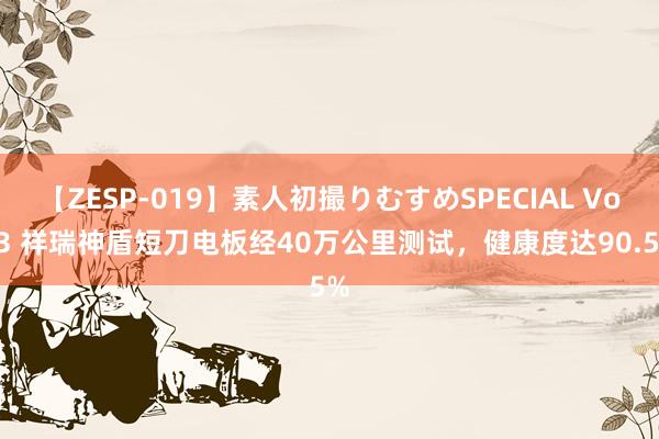 【ZESP-019】素人初撮りむすめSPECIAL Vol.3 祥瑞神盾短刀电板经40万公里测试，健康度达90.5%