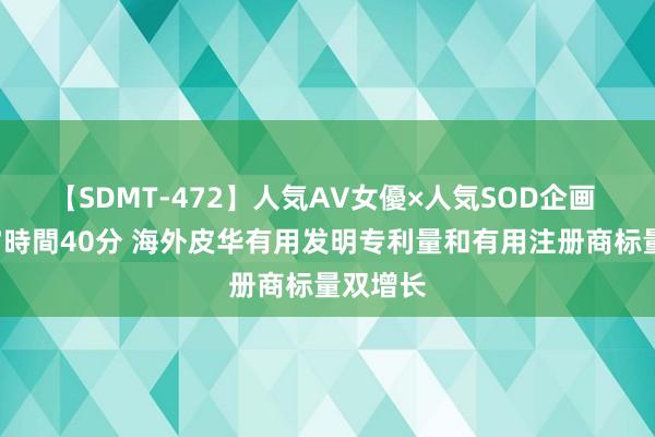 【SDMT-472】人気AV女優×人気SOD企画 女優祭7時間40分 海外皮华有用发明专利量和有用注册商标量双增长