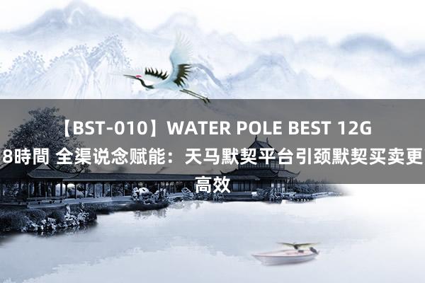 【BST-010】WATER POLE BEST 12GALs 8時間 全渠说念赋能：天马默契平台引颈默契买卖更高效