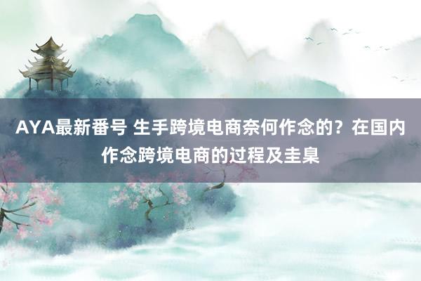 AYA最新番号 生手跨境电商奈何作念的？在国内作念跨境电商的过程及圭臬