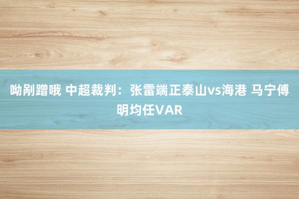 呦剐蹭哦 中超裁判：张雷端正泰山vs海港 马宁傅明均任VAR