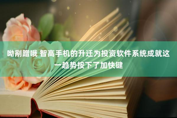 呦剐蹭哦 智高手机的升迁为投资软件系统成就这一趋势按下了加快键