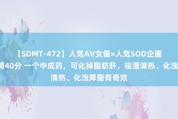 【SDMT-472】人気AV女優×人気SOD企画 女優祭7時間40分 一个中成药，可化掉脂肪肝，祛湿清热、化浊降脂有奇效