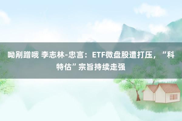 呦剐蹭哦 李志林-忠言：ETF微盘股遭打压，“科特估”宗旨持续走强