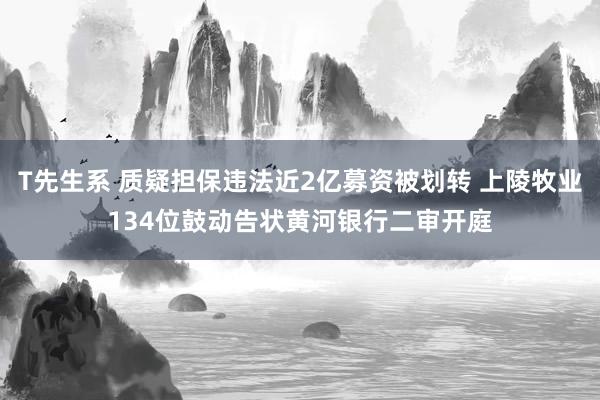 T先生系 质疑担保违法近2亿募资被划转 上陵牧业134位鼓动告状黄河银行二审开庭