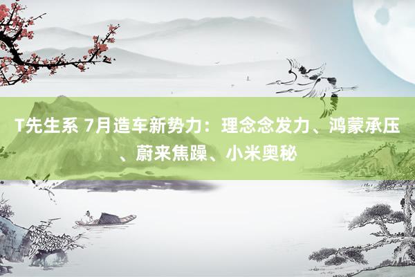 T先生系 7月造车新势力：理念念发力、鸿蒙承压、蔚来焦躁、小米奥秘