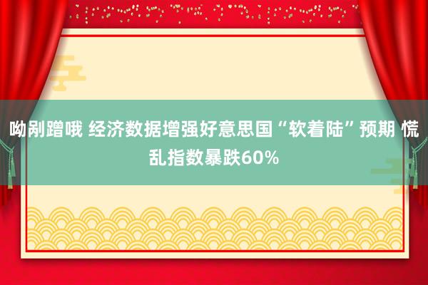 呦剐蹭哦 经济数据增强好意思国“软着陆”预期 慌乱指数暴跌60%