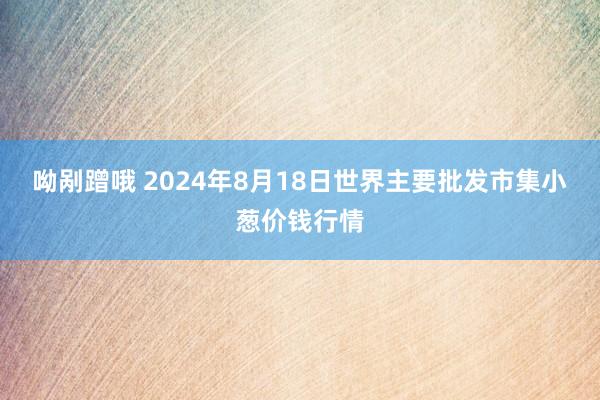 呦剐蹭哦 2024年8月18日世界主要批发市集小葱价钱行情