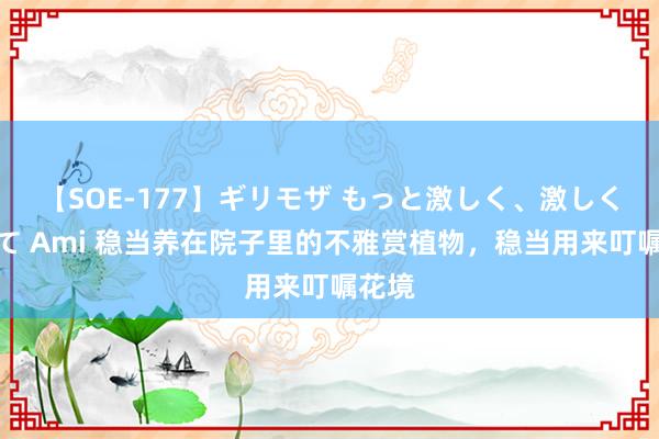 【SOE-177】ギリモザ もっと激しく、激しく突いて Ami 稳当养在院子里的不雅赏植物，稳当用来叮嘱花境