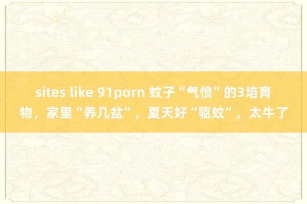 sites like 91porn 蚊子“气愤”的3培育物，家里“养几盆”，夏天好“驱蚊”，太牛了