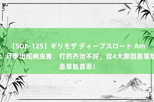 【SOE-125】ギリモザ ディープスロート Ami 蓝妖：月季出现病虫害，打药齐治不好，这4大原因是罪魁首恶！