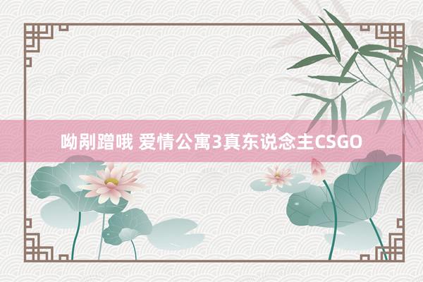 呦剐蹭哦 爱情公寓3真东说念主CSGO