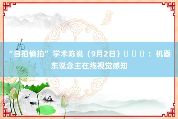 “自拍偷拍” 学术陈说（9月2日）：机器东说念主在线视觉感知