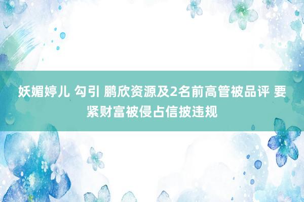 妖媚婷儿 勾引 鹏欣资源及2名前高管被品评 要紧财富被侵占信披违规